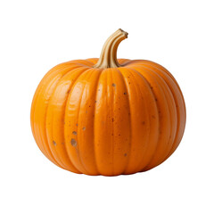 Obraz premium Vibrant Orange Pumpkin Isolated Against White Backdrop for Fall Celebrations