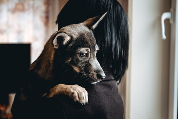 Sad dog is in a volunteer helping hands. An adoption of rescue animal. A lonely lost doggy hugs a human. The person adopts the abandoned homeless dog from a shelter. The pet misses for his dead owner