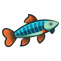 fish on a white background