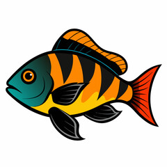 fish on a black background