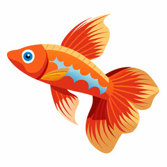 goldfish isolated on white