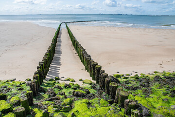 Fototapeta premium Nordsee Niederland