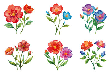 Leschenaultia flower watercolor illustration on white isolated background