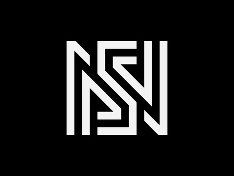 This is a simple SN or NS monogram