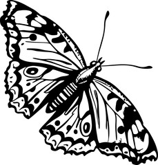 Unique Silhouette Butterfly Image for Creative Design Inspiration