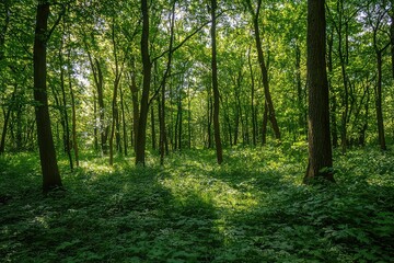 Lush green forest with sunlight filtering through trees, highlighting biodiversity. Clean, peaceful environment. High-resolution image. AI generated image.