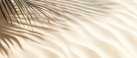 Obraz premium Beige Fabric Drape with Palm Leaf Shadow