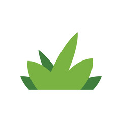Grass Vector