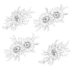Sunflowers Line Drawing. Outline Sunflowers illustration. Hand Drawn Sunflowers background. Botanical Monochrome Floral Art. Sunflower Wedding