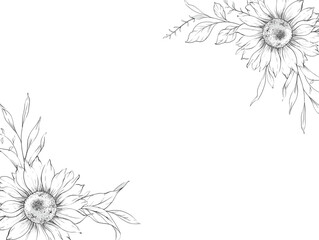 Sunflowers Line Drawing. Outline Sunflowers illustration. Hand Drawn Sunflowers background. Botanical Monochrome Floral Art. Sunflower Wedding
