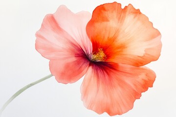 Vibrant Scarlet Poppy Flower in Bloom, Macro Photography, Close-Up Beauty