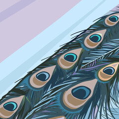 Vibrant close-up of a peacock feather showcasing intricate patterns and vivid iridescent colors