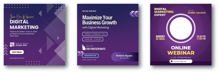 Elevate Your Business with Expert Digital Marketing Webinar Series