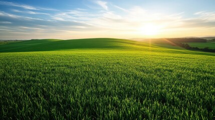 Serene Sunset Over Rolling Green Fields: A Breathtaking Landscape Photograph