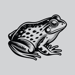 Frog graphic details
