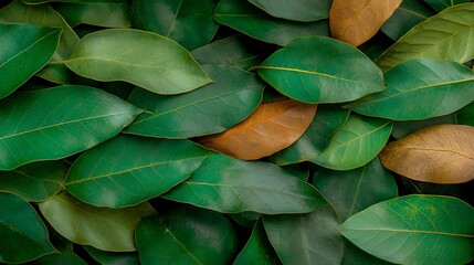 Fototapeta premium Green leaf pattern with brown accents creates an organic, textured background with vibrant colors and natural details