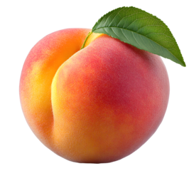 Peach with leaf isolated png. PNG format. Whole peach on transparent background. Peach with leaves no background. Full depth of field.