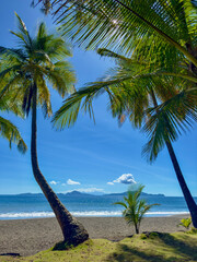 Plage de Grande Anse auf Basse Terre / Guadeloupe / Strand / Frankreich / Karibik