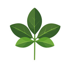 A very Simple flat 2D icon clove leaf isolated on transparent background, vector, flat design, animation design, vector, flat design, animation design, simple flat 2D icon, minimalist design
