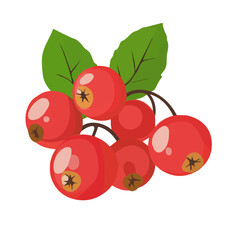 A Simple flat illustration of hawthorn berry branches with leaf icon motion graphic, flat-design vector animation style, isolated in a white background, 2D flat icon, logo