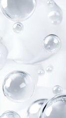 Floating Bubbles on a White Background