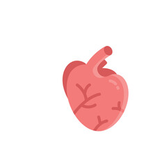 human organs flat icon