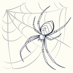 Golden Silk Orb-Weaver – Elegant Minimal Spider Design