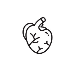 human organs Line icon