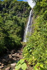 Wasserfälle / Wasserfall auf Basse-Terre / Guadeloupe / Frankreich / Karibik / Urwald / Chutes du Carbet