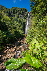 Wasserfälle / Wasserfall auf Basse-Terre / Guadeloupe / Frankreich / Karibik / Urwald / Chutes du Carbet