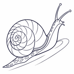White-Lipped Snail – Elegant Spiral Line Art