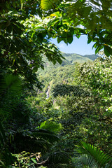 Wasserfälle / Wasserfall auf Basse-Terre / Guadeloupe / Frankreich / Karibik / Urwald / Chutes du Carbet