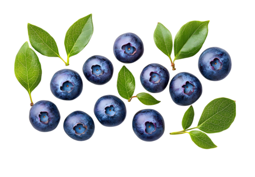 Blueberry isolated. Blueberries with leaves on white. Blueberry top view on white background. With clipping path.