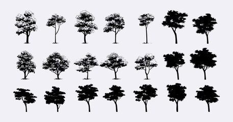 Set of trees line drawing vector illustration. Trees elements outline symbol for architecture and nature landscape.