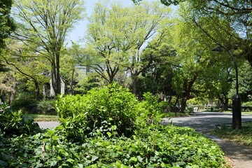 日比谷公園の風景