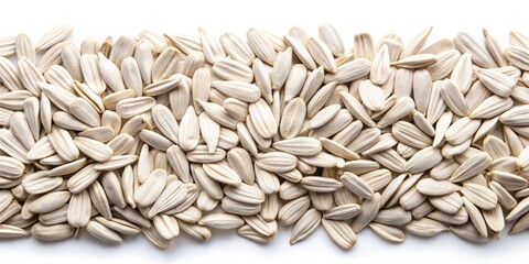 Long Exposure Photography White Sunflower Seeds, Abstract Macro, Light Trails, Bokeh, Night Photography, White Seeds,  Floral Photography, Nature Photography, Seed Photography, 