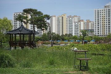 It is a park scenery