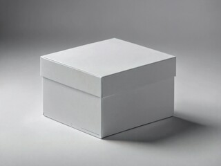 Minimalist Presentation: A simple, pristine box, with clean lines and sharp angles, sits gracefully, hinting at hidden treasures. Its monochromatic form evokes a sense of purity and mystery.