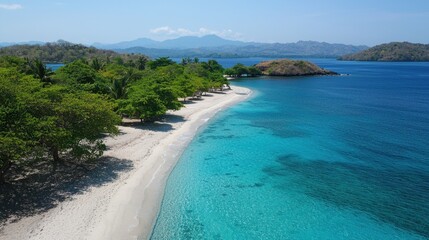 Clear blue water meets sandy beach and lush greenery in a tropical paradise setting