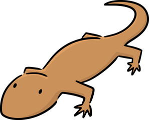 Illustration of lizard
