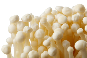 A bunch of white mushrooms with a white background