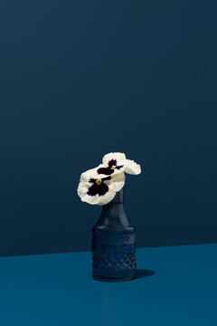 White pansy flower in a textured vase against a blue background