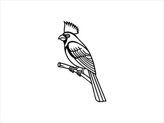 A vibrant red cardinal perched on a sign, perfect for logo or branding.