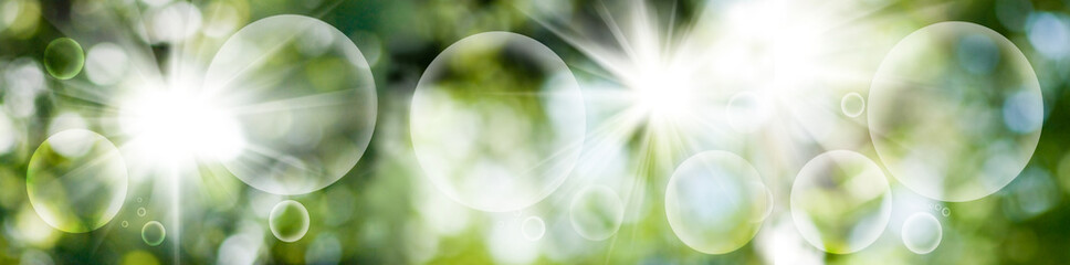 Bright sunlight filters through vibrant green foliage, creating enchanting bokeh effects in a serene outdoor setting