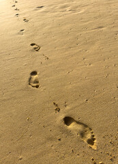 A beach with footprints in the sand