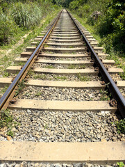 Obraz premium A train track is shown in a lush green forest