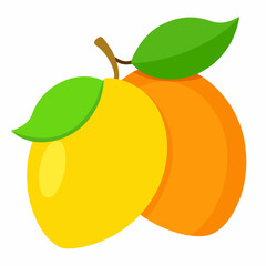 Delicious ripe mangoes vector on white background.