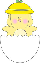병아리