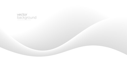 Curve shape flow vector abstract background in light grey gradient, dynamic and speed concept, futuristic technology or motion art.