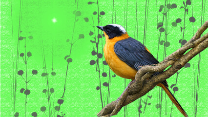 Vogel
